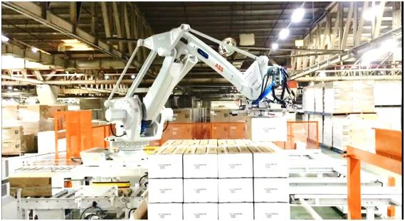 Air Conditioner Indoor Unit Robotic Palletizer-03
